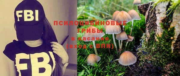 синтетический гашиш Алексеевка